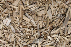biomass boilers Laleham